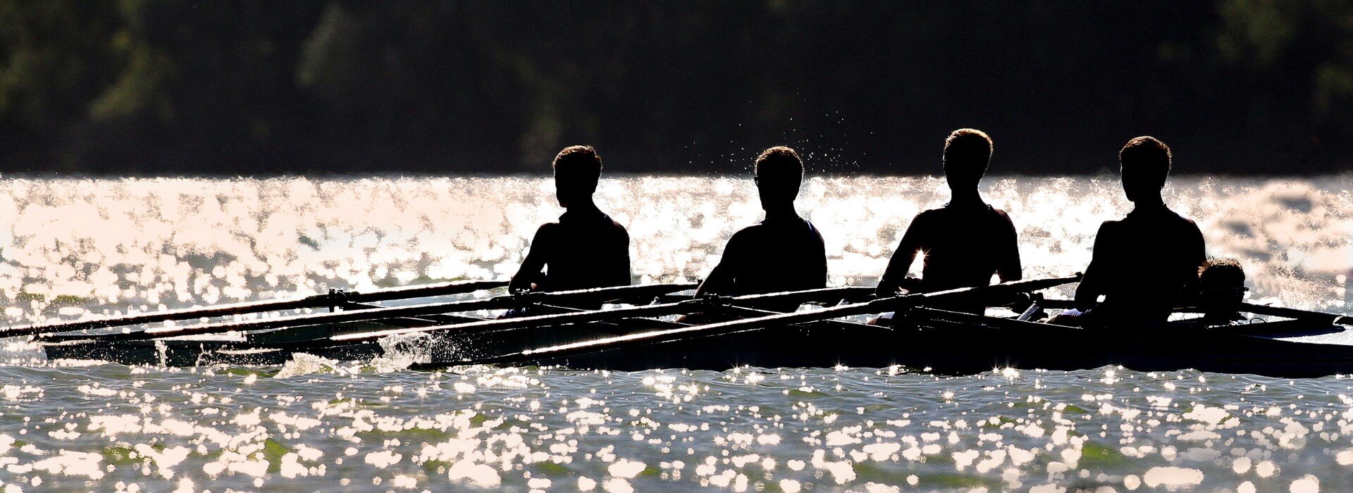 pexels-patrick-case-3847670